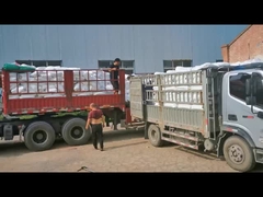 Хлорированный полиэтилен CPE 135A Модификатор воздействия ПВХ для труб ПВХ Белый порошок